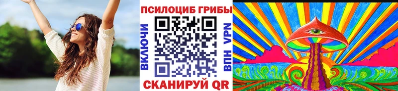 Купить закладки  Сорочинск  Галлюциногенные грибы Psilocybe 